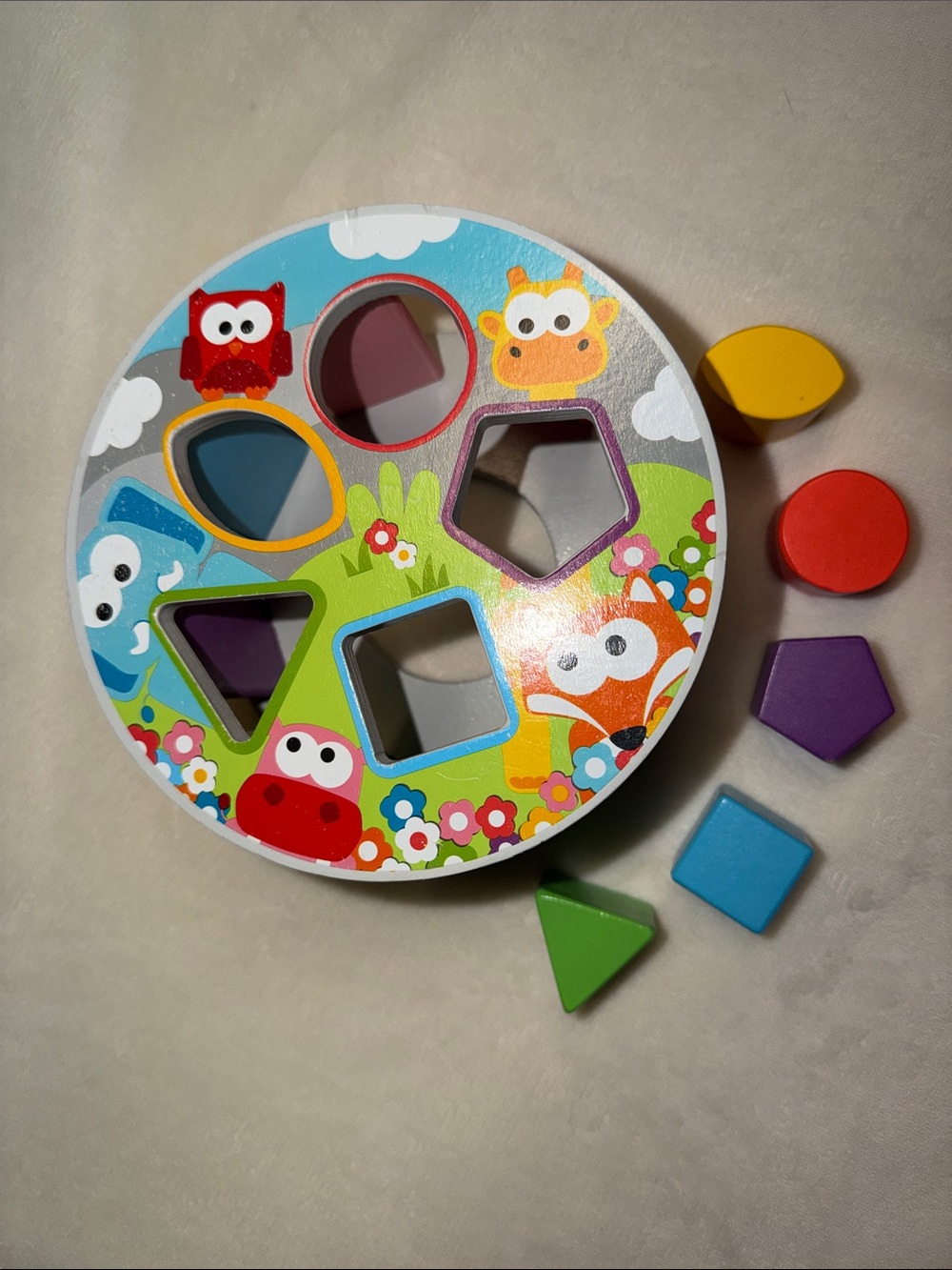 Wooden Shape Sorter Toy - Multicolor